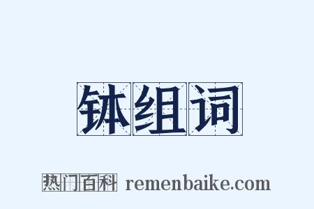 钵组词是什么意思的图片